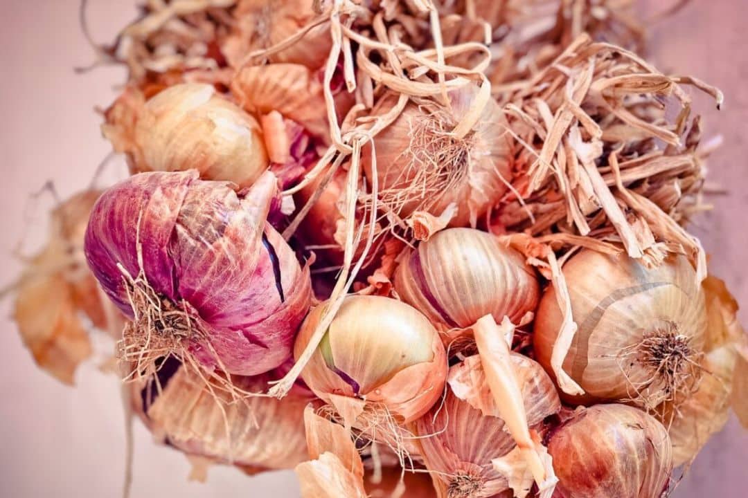 How Long Do Onions Last? A Guide to Onion Shelf Life